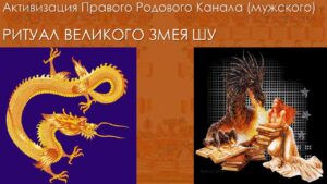 24. Активизация Правого Родового