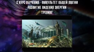 19. Тренинги Виденья